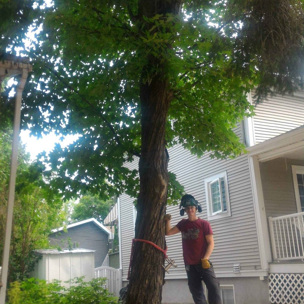 received_1165125660509484